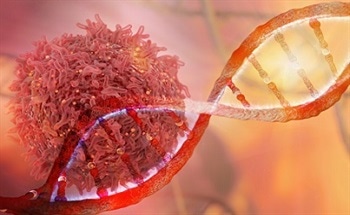 Magnetic Resonance Navigation for Nanorobotic Cancer Therapies