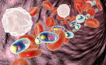 Chitosan Nanoparticles - Properties and Applications