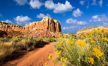 Nanotechnology in New Mexico, USA: Market Report