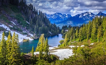 Nanotechnology in Montana, USA: Market Report