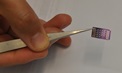 Carbon Nanotubes Used for Sniffing Out Pathogens in the Food Supply Chain