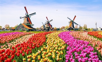 Nanotechnology in The Netherlands: Market Report
