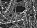 Sodium-ion Batteries Made from Wood Could Revolutionize Grid-Scale Storage