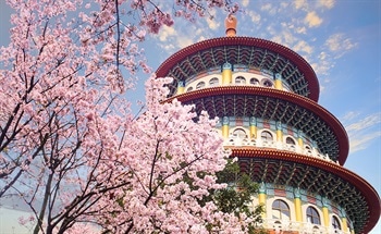Nanotechnology in Taiwan: Market Report