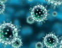 Nanoparticle-Based Vaccine Delivery Platform for Infectious Diseases and Cancer