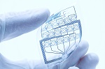 Graphene Ink and Its Possible Applications