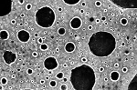 Using Nanotechnology in Medicine: Detecting Blood Clots and Cancer Cells