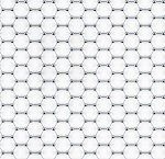 Growing Graphene on Silver