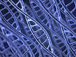 Nanotechnology in Life Sciences