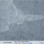 Mapping the Mechanical Properties of Alloyed Magnesium (AZ 61) Using Nanoindentation