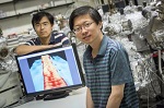 Fine Tuning Graphene with Nano-Ribbons