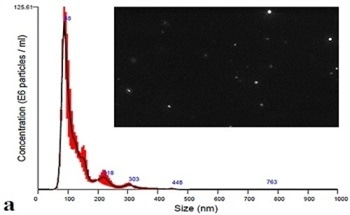 Measuring Size and Concentration of Exosomes Using Nanoparticle Tracking Analysis (NTA)