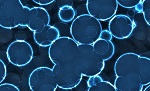 What is Nanoscopy? Techniques and Applications
