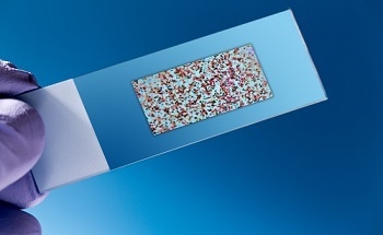 Nanotechnology Companies Collaborate On Sensors - News Item