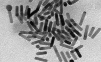 Gold Nanorods Synthesized Without CTAB