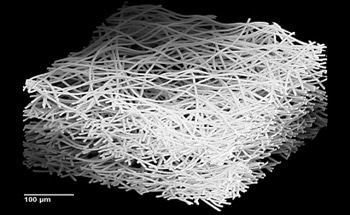 Using Nanofibers Within Biosensors to Explore New Functionalities