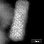 Latest Trends in AFM