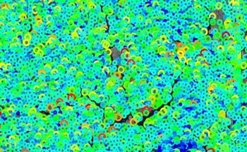 Rapid and Reliable Nanomaterials Analysis