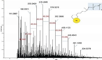 Analyzing Organic Ligands on Gold Nanoparticle Surfaces Using Mass Spectrometry