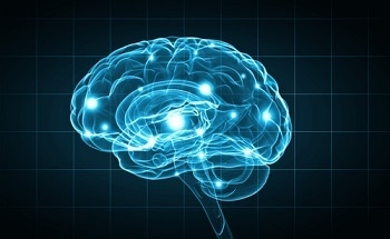 Nanotubes To Make Better Brain Probes - New Technology