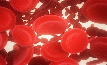 Computer Simulation of Nanoparticle Drug Carrier Capture in Arterial Flow