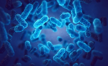 TERS for Characterizing Bio-Molecules at the Nanoscale