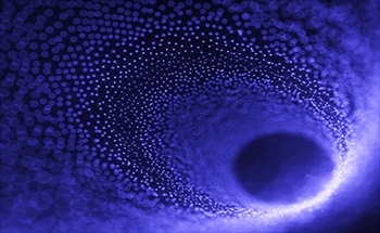 Carbon Nanotube Sensors for the Detection of Single Protein Molecules