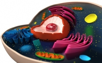 Keck Grant To Fund Cell Biology Nanotechnology At WMU - News Item