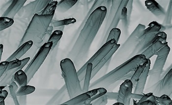 Using Metal Oxide Nanocolumns to Detect Fire