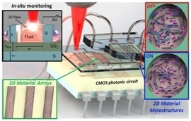 Characterisation of 2D Nanomaterials on Phototonic Chips