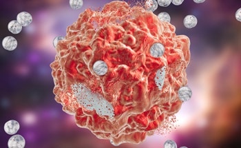 The Biological Mechanisms of Gold Nanoparticle Radiosensitization