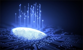 Using Structural Fingerprints to Screen Nanoporous Materials