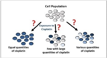 ICP Mass Spectrometry to Detect Cancer Cells