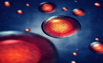 Magnetic Nanoparticles for Regenerative Medicine