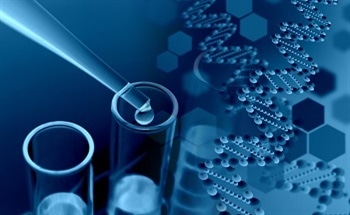 Nanotechnology in Cancer Studies