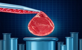 Nanotechnology in Tissue Engineering