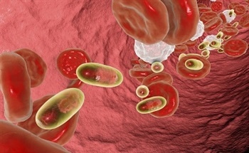 Nanotechnology for Drug Delivery Applications