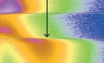Determining Phase Transformation Route