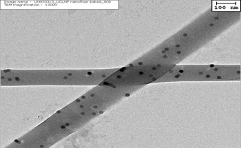 Novel Nanomaterials for Improved Food Safety