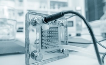 Fuel Cell Fabrication Applications for Organic Binders