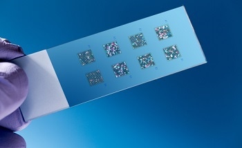 New 'DNA Chip' Rapidly Detects, Identifies Dangerous Pathogens - New Product