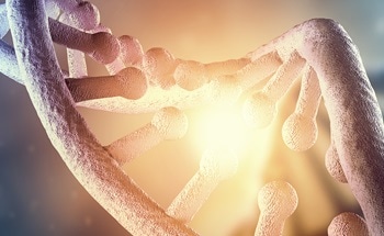 DNA and Nanotechnology - How Are They Combined?