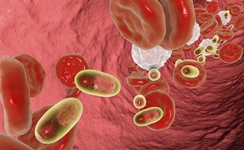 How Solid Drug Nanoparticles Can Tackle Drug Adherence Issues