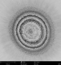 How Automated Scanning Electron Microscopy (SEM) Is Used?