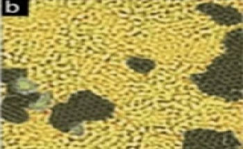 CheapTubes Publish Patent on Tunable Surfactant Nanosheets–Flexiphene