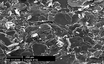 Graphite and the Global Graphene Expo: Interview with Daniel Kenny