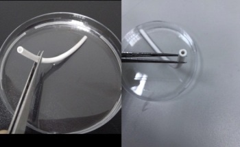 Producing Electrospun Artificial Blood Vessels
