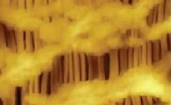 Quantification and Visualization of Single Macromolecules with AFM Software