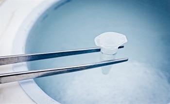 What is Cryogenics?