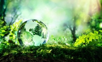 The Environmental Impact of Nanotechnology